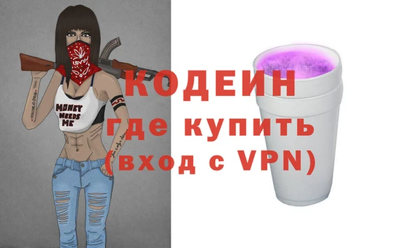 хмурый Бородино