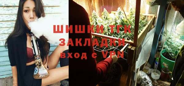хмурый Бородино