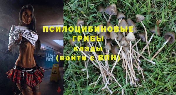 ECSTASY Бугульма