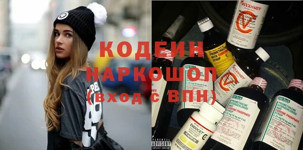 хмурый Бородино