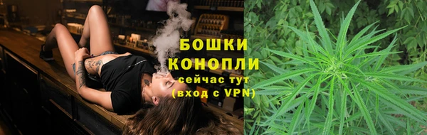 хмурый Бородино